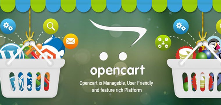 OpenCart Development Company in Pune & Mumbai